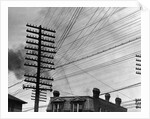 Telephone Poles and Wires by Anonymous