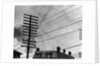 Telephone Poles and Wires by Anonymous