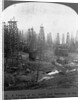 Oil Rigs Near Los Angeles, California by Anonymous
