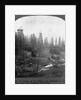 Oil Rigs Near Los Angeles, California by Anonymous