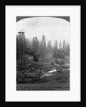 Oil Rigs Near Los Angeles, California by Anonymous