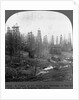 Oil Rigs Near Los Angeles, California by Anonymous