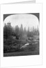 Oil Rigs Near Los Angeles, California by Anonymous