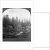 Oil Rigs Near Los Angeles, California by Anonymous