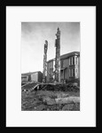 Totem Poles by Anonymous