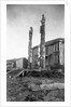 Totem Poles by Anonymous