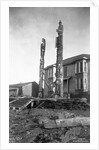 Totem Poles by Anonymous