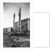 Totem Poles by Anonymous