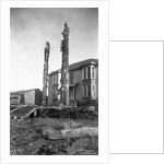 Totem Poles by Anonymous
