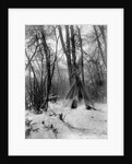 A tepee in a snow covered forest by E.S Curtis