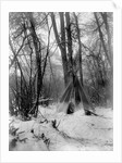 A tepee in a snow covered forest by E.S Curtis