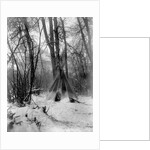 A tepee in a snow covered forest by E.S Curtis