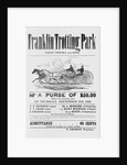 Ad for Trotter Races by Anonymous