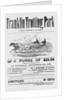Ad for Trotter Races by Anonymous