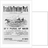Ad for Trotter Races by Anonymous