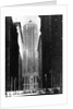 Chicago Board of Trade Building by Anonymous