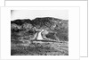Opening of the Los Angeles Aqueduct by Anonymous