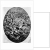 Aerial View of 1860s Boston by Anonymous