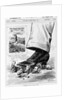 Engraving "Congress Puts its Foot Down" by Anonymous