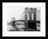 Brooklyn Bridge, New York by Anonymous