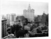 City Hall Park and Surrounding Buildings by Anonymous