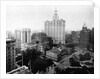 City Hall Park and Surrounding Buildings by Anonymous
