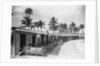 Boathouses at the Boca Raton Cabana Club by Anonymous