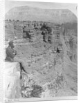 Man Looking into Sheavwitz Crossing, Grand Canyon by Anonymous