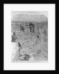 Man Looking into Sheavwitz Crossing, Grand Canyon by Anonymous