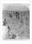 Man Looking into Sheavwitz Crossing, Grand Canyon by Anonymous