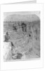Man Looking into Sheavwitz Crossing, Grand Canyon by Anonymous