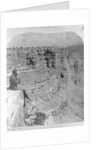 Man Looking into Sheavwitz Crossing, Grand Canyon by Anonymous