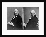 Journalist Horace Greeley by Anonymous