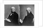 Journalist Horace Greeley by Anonymous