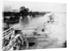 Seaplanes on the Flooded Mississippi by Anonymous