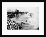 Seaplanes on the Flooded Mississippi by Anonymous