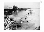 Seaplanes on the Flooded Mississippi by Anonymous