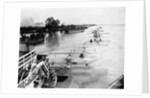 Seaplanes on the Flooded Mississippi by Anonymous