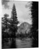 Half Dome Over Merced River by Anonymous