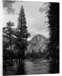 Half Dome Over Merced River by Anonymous