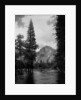 Half Dome Over Merced River by Anonymous