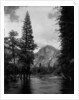 Half Dome Over Merced River by Anonymous