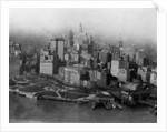 Overview of Battery Park and Lower Manhattan by Anonymous