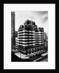 Fifth Avenue Building, New York by Anonymous