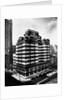 Fifth Avenue Building, New York by Anonymous