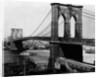 Brooklyn Bridge, New York by Anonymous