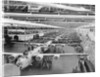 Production Line of B-24 Liberators by Anonymous