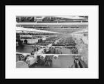 Production Line of B-24 Liberators by Anonymous