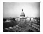 United States Capitol by Anonymous