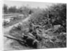 American Soldiers on Maneuvers During the Philippine Insurrection by Anonymous